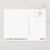 絵を描ログにカメ ポストカード (裏面)