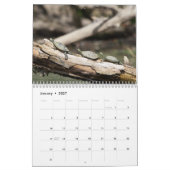 絵を描亀2026 カレンダー (1月 2027)