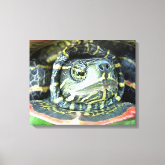 絵を描亀2 キャンバスプリント (正面)