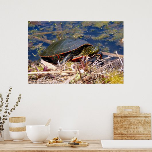 絵を描亀3 ポスター (キッチン)