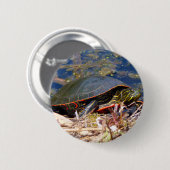 絵を描亀3 缶バッジ (正面&裏面)