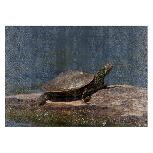 絵を描亀 カッティングボード (正面)