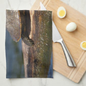 絵を描亀 キッチンタオル (四つ折り)