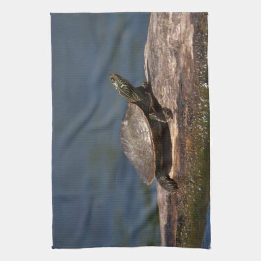 絵を描亀 キッチンタオル (縦)