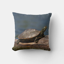 絵を描亀 クッション