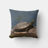 絵を描亀 クッション (正面)