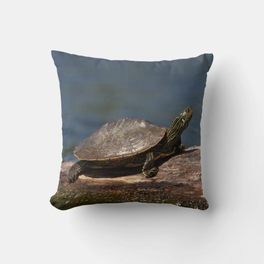 絵を描亀 クッション (正面)