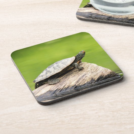 絵を描亀 コースター (左側)