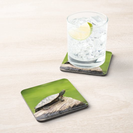 絵を描亀 コースター (右側)