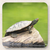 絵を描亀 コースター (正面)