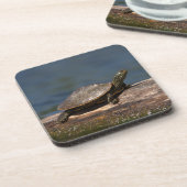 絵を描亀 コースター (左側)