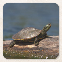 絵を描亀 スクエアペーパーコースター