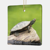 絵を描亀 セラミックオーナメント (左)