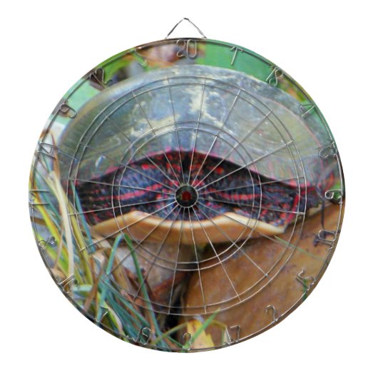 絵を描亀 ダーツボード (正面)