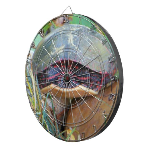 絵を描亀 ダーツボード (正面右)