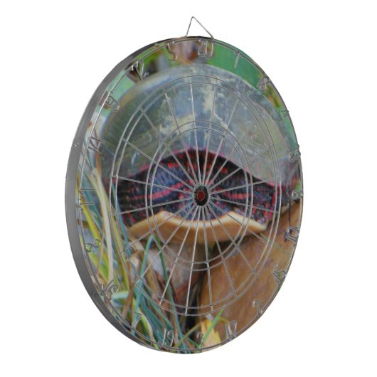 絵を描亀 ダーツボード (正面左)