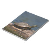 絵を描亀 ノートパッド (回転)