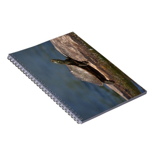 絵を描亀 ノートブック (右側)