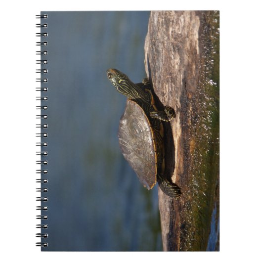 絵を描亀 ノートブック (正面)