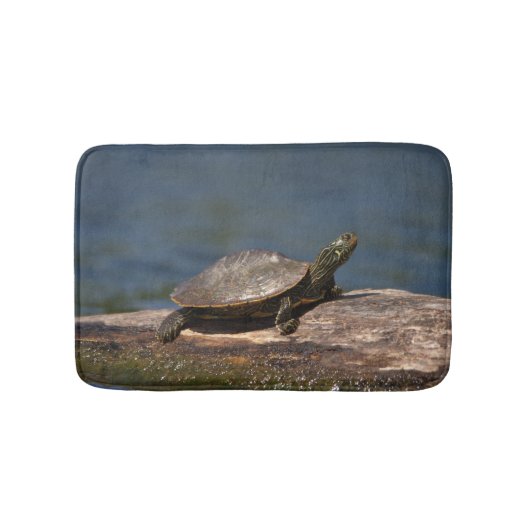 絵を描亀 バスマット (正面)
