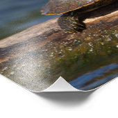 絵を描亀 フォトプリント            (角)