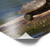 絵を描亀 フォトプリント            (角)