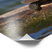 絵を描亀 フォトプリント            (角)