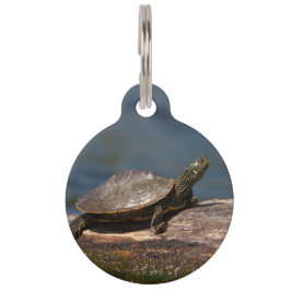 絵を描亀 ペット　ネームタグ