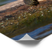 絵を描亀 ポスター (角)