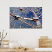 絵を描亀 ポスター (キッチン)