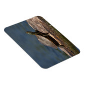 絵を描亀 マグネット (右側)