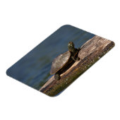 絵を描亀 マグネット (左側)