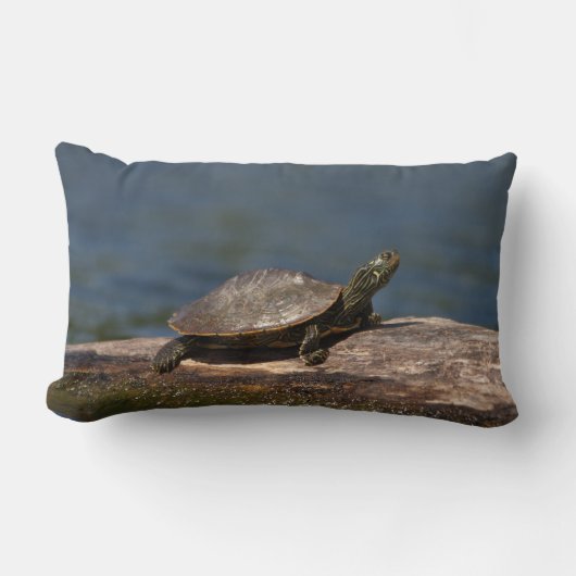 絵を描亀 ランバークッション (正面)