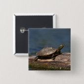 絵を描亀 缶バッジ (正面&裏面)