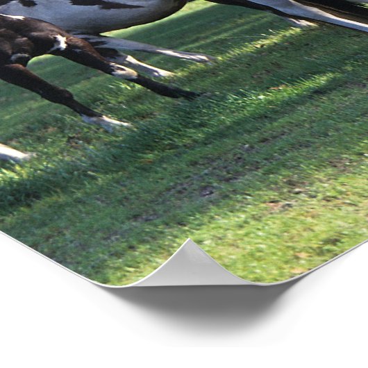 絵を描木の馬 ポスター (角)