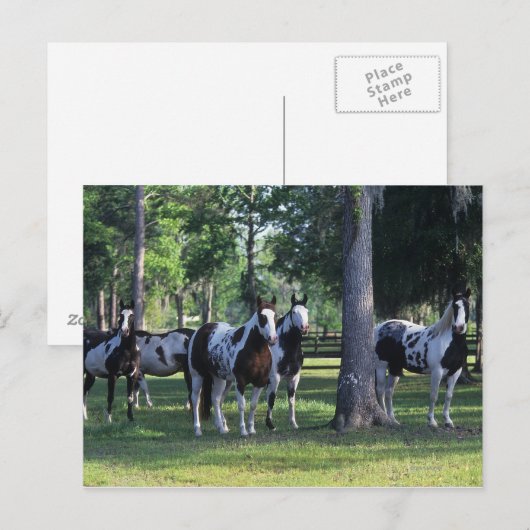 絵を描木の馬 ポストカード (正面/裏面)