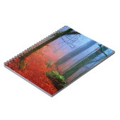 絵を描林秋の青い霧 ノートブック (左側)