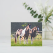 絵を描牧馬 ポストカード (スタンド正面)