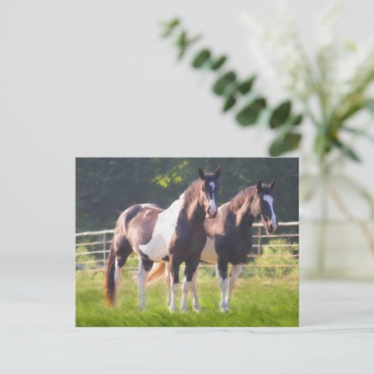 絵を描牧馬 ポストカード (スタンド正面)