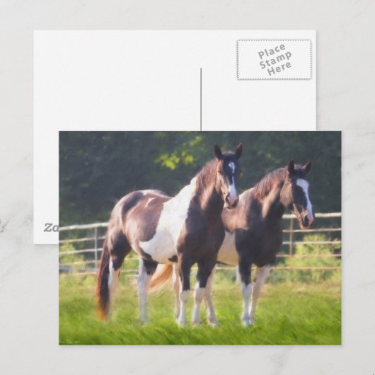絵を描牧馬 ポストカード (正面/裏面)