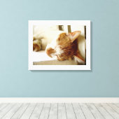 絵を描眠る猫 キャンバスプリント (インサイチュ (ウッドフロア))