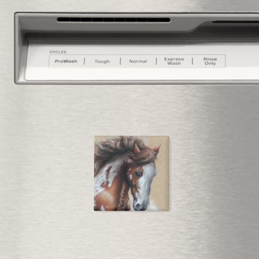 絵を描砂漠の馬 マグネット (インサイチュ (食洗機))