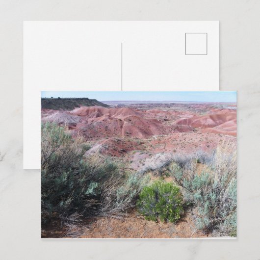 絵を描砂漠 ポストカード (正面/裏面)