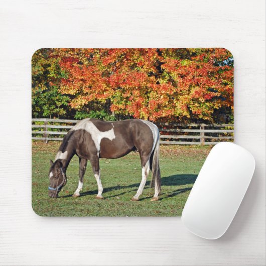 絵を描秋 マウスパッド (マウス)