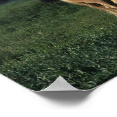 絵を描立馬2 ポスター (角)