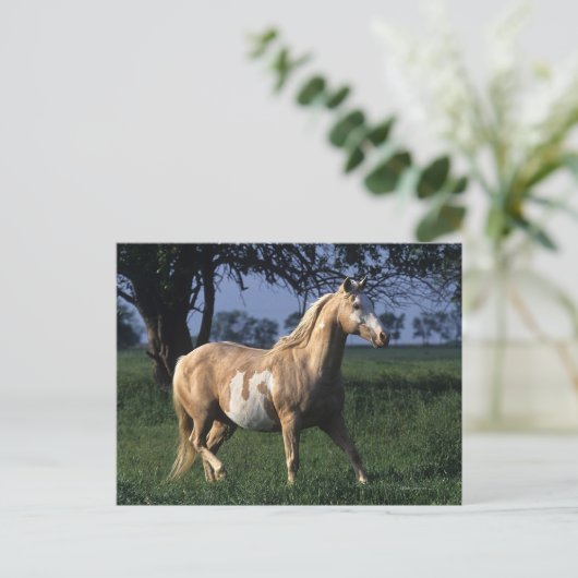 絵を描立馬2 ポストカード (スタンド正面)