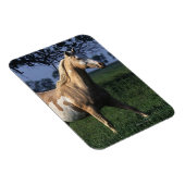 絵を描立馬2 マグネット (右側)