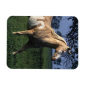 絵を描立馬2 マグネット (横)