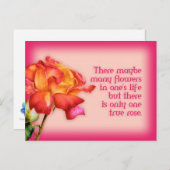 絵を描素晴らし引用文バラ葉書 ポストカード (正面/裏面)