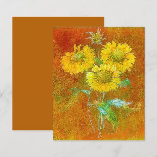 絵を描花 (正面/裏面)